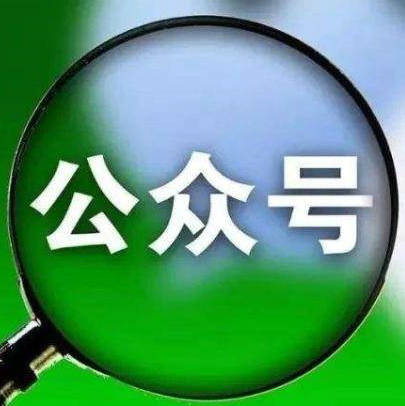 其它中介范本